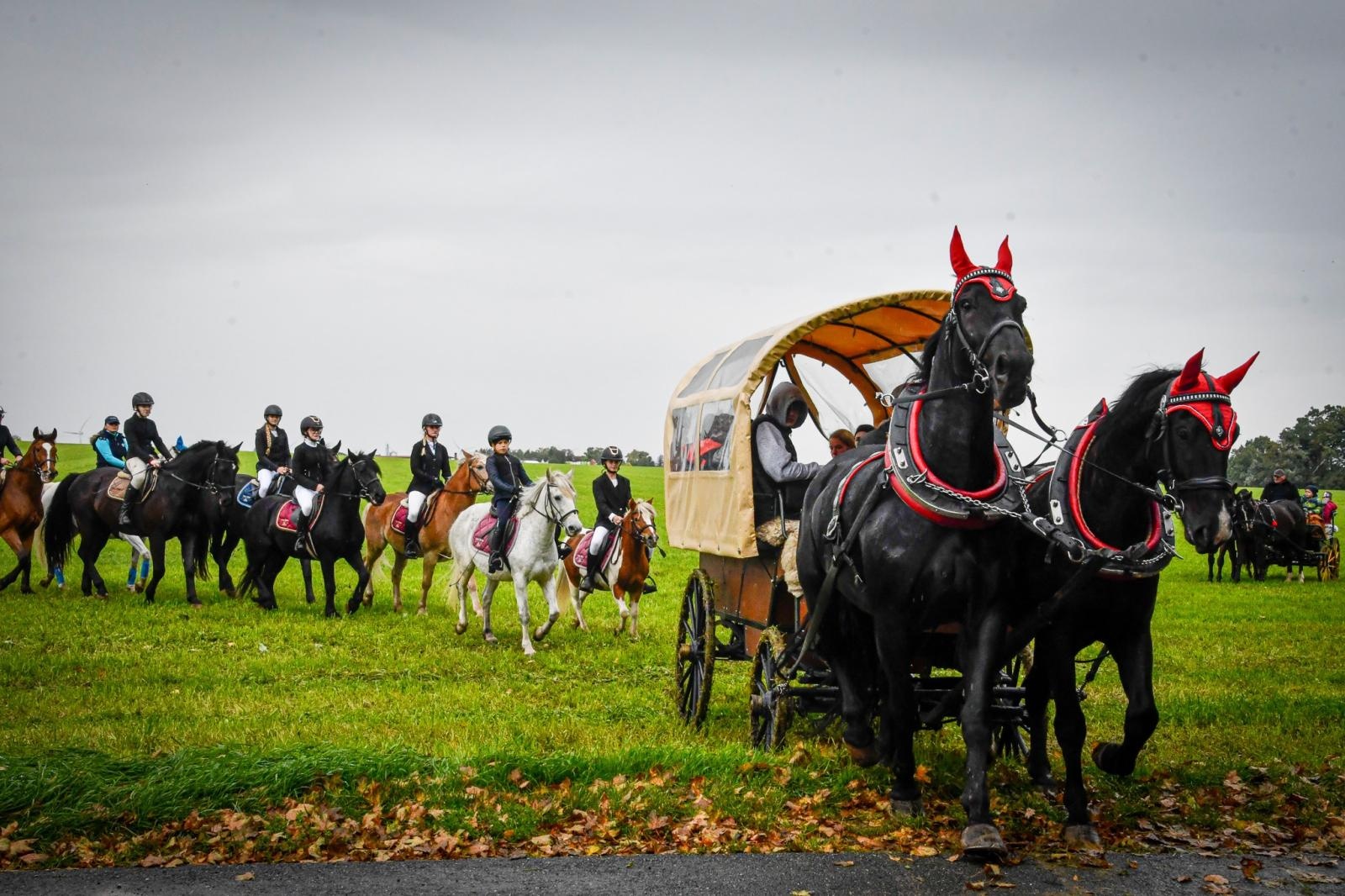 Zdjęcie w galerii na portalu naszraciborz.pl: Natalia Rzerzacz zwyciężczynią pogoni za lisem podczas hubertusa w Żerdzinach [FOTO i WIDEO] wiadomości z regionu