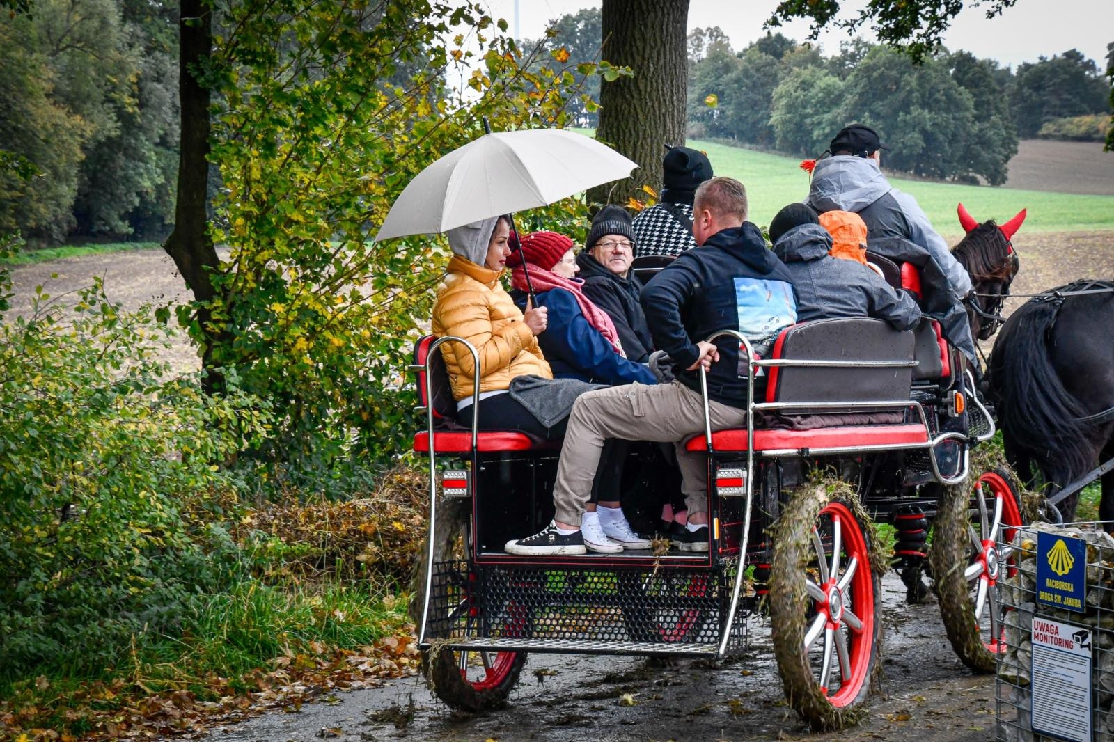 Zdjęcie w galerii na portalu naszraciborz.pl: Natalia Rzerzacz zwyciężczynią pogoni za lisem podczas hubertusa w Żerdzinach [FOTO i WIDEO] wiadomości z regionu