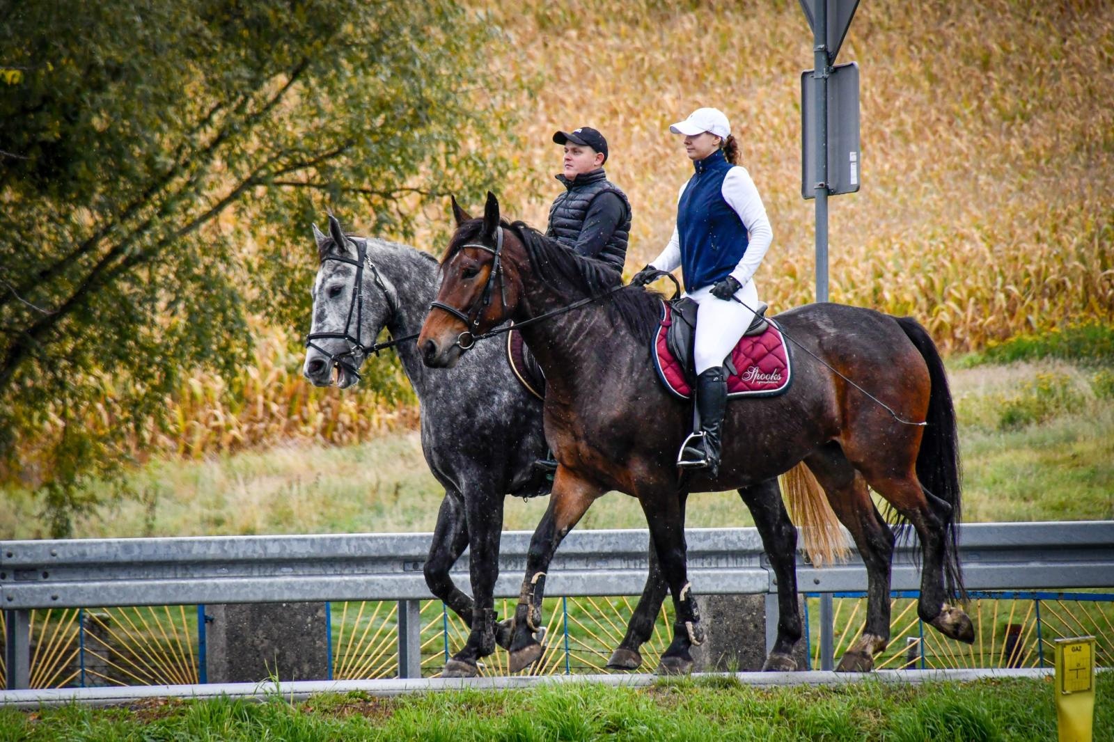 Zdjęcie w galerii na portalu naszraciborz.pl: Natalia Rzerzacz zwyciężczynią pogoni za lisem podczas hubertusa w Żerdzinach [FOTO i WIDEO] wiadomości z regionu