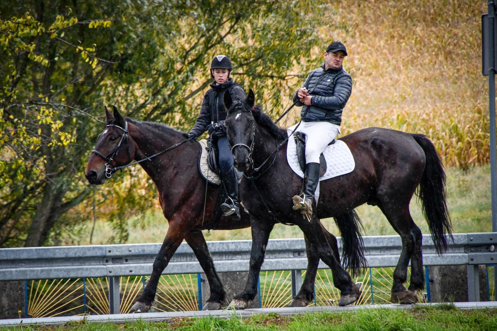 Zdjęcie w galerii na portalu naszraciborz.pl: Natalia Rzerzacz zwyciężczynią pogoni za lisem podczas hubertusa w Żerdzinach [FOTO i WIDEO] wiadomości z regionu