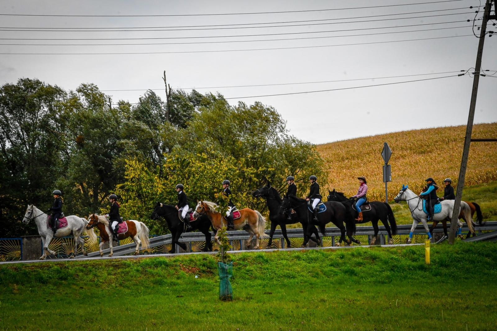 Zdjęcie w galerii na portalu naszraciborz.pl: Natalia Rzerzacz zwyciężczynią pogoni za lisem podczas hubertusa w Żerdzinach [FOTO i WIDEO] wiadomości z regionu