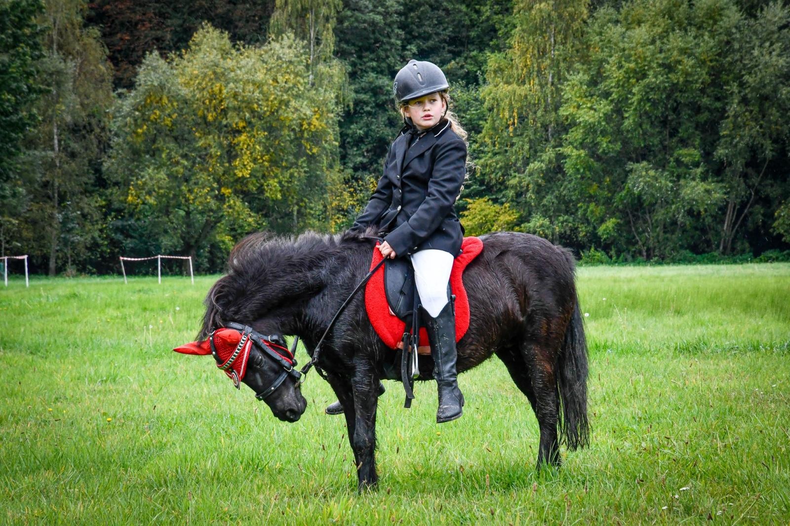 Zdjęcie w galerii na portalu naszraciborz.pl: Natalia Rzerzacz zwyciężczynią pogoni za lisem podczas hubertusa w Żerdzinach [FOTO i WIDEO] wiadomości z regionu