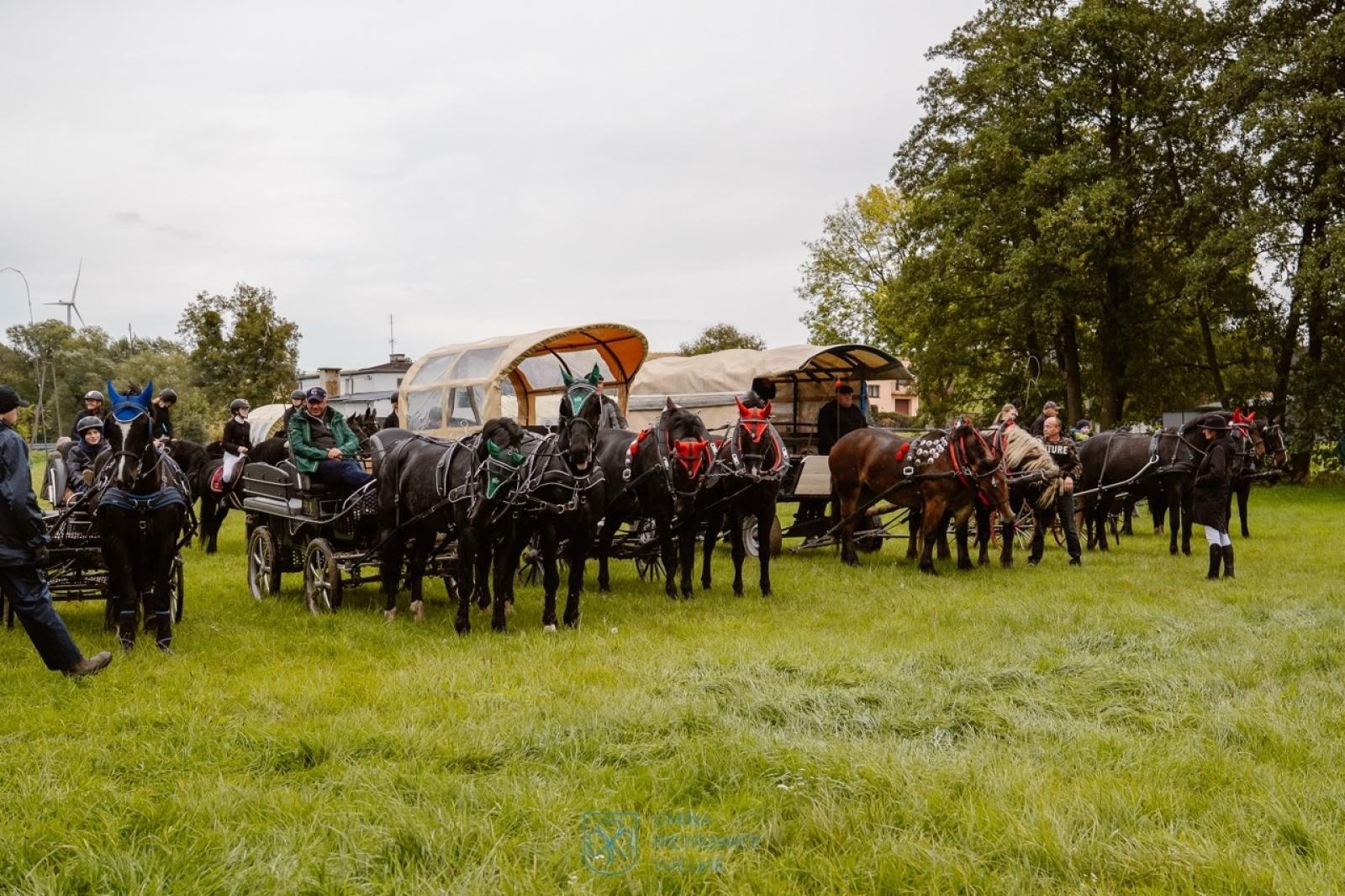 Zdjęcie w galerii na portalu naszraciborz.pl: Natalia Rzerzacz zwyciężczynią pogoni za lisem podczas hubertusa w Żerdzinach [FOTO i WIDEO] wiadomości z regionu