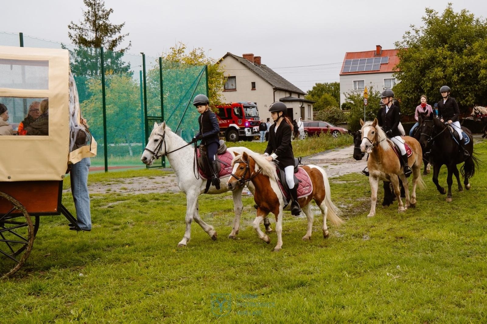 Zdjęcie w galerii na portalu naszraciborz.pl: Natalia Rzerzacz zwyciężczynią pogoni za lisem podczas hubertusa w Żerdzinach [FOTO i WIDEO] wiadomości z regionu