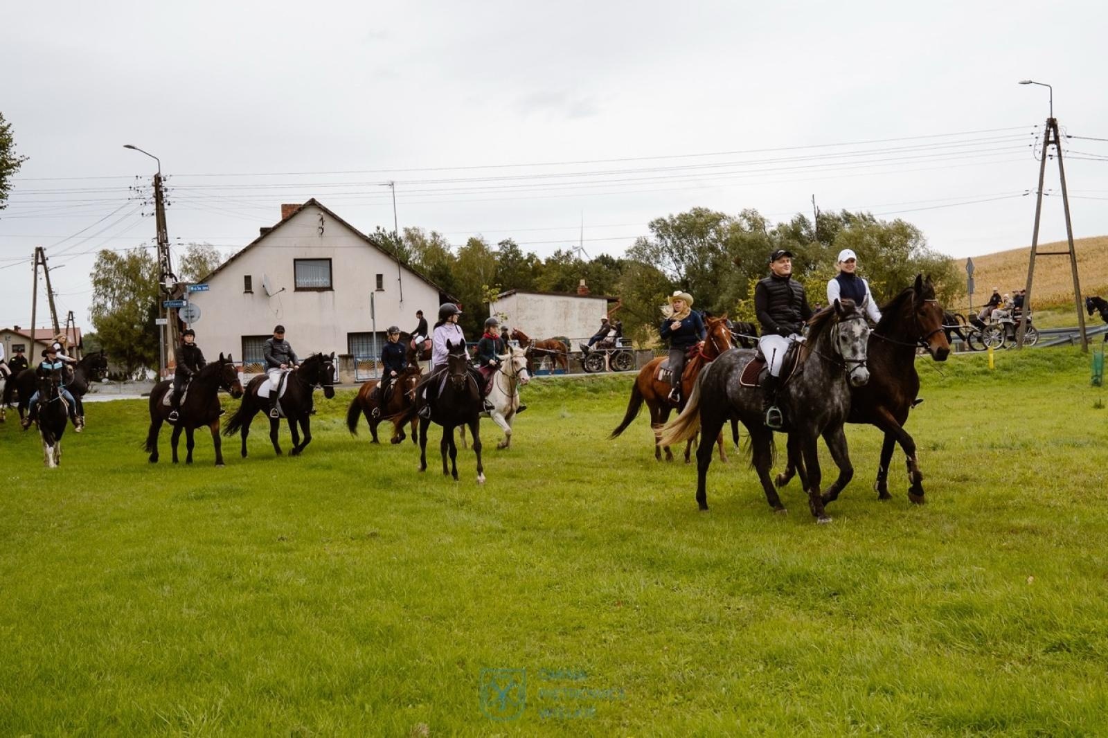 Zdjęcie w galerii na portalu naszraciborz.pl: Natalia Rzerzacz zwyciężczynią pogoni za lisem podczas hubertusa w Żerdzinach [FOTO i WIDEO] wiadomości z regionu