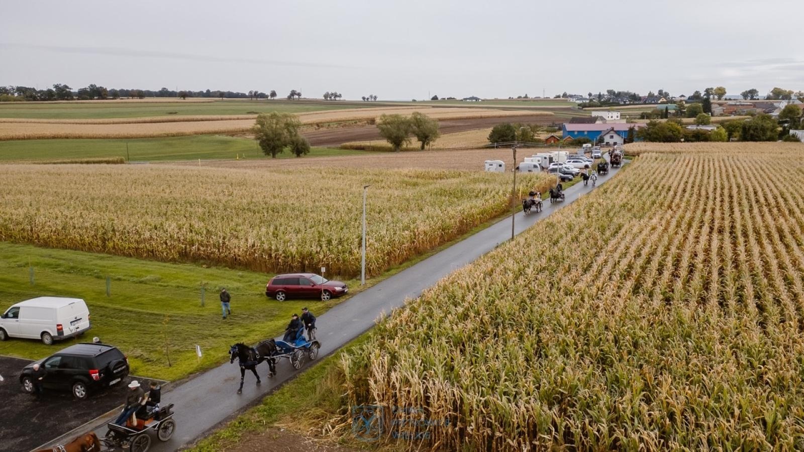 Zdjęcie w galerii na portalu naszraciborz.pl: Natalia Rzerzacz zwyciężczynią pogoni za lisem podczas hubertusa w Żerdzinach [FOTO i WIDEO] wiadomości z regionu