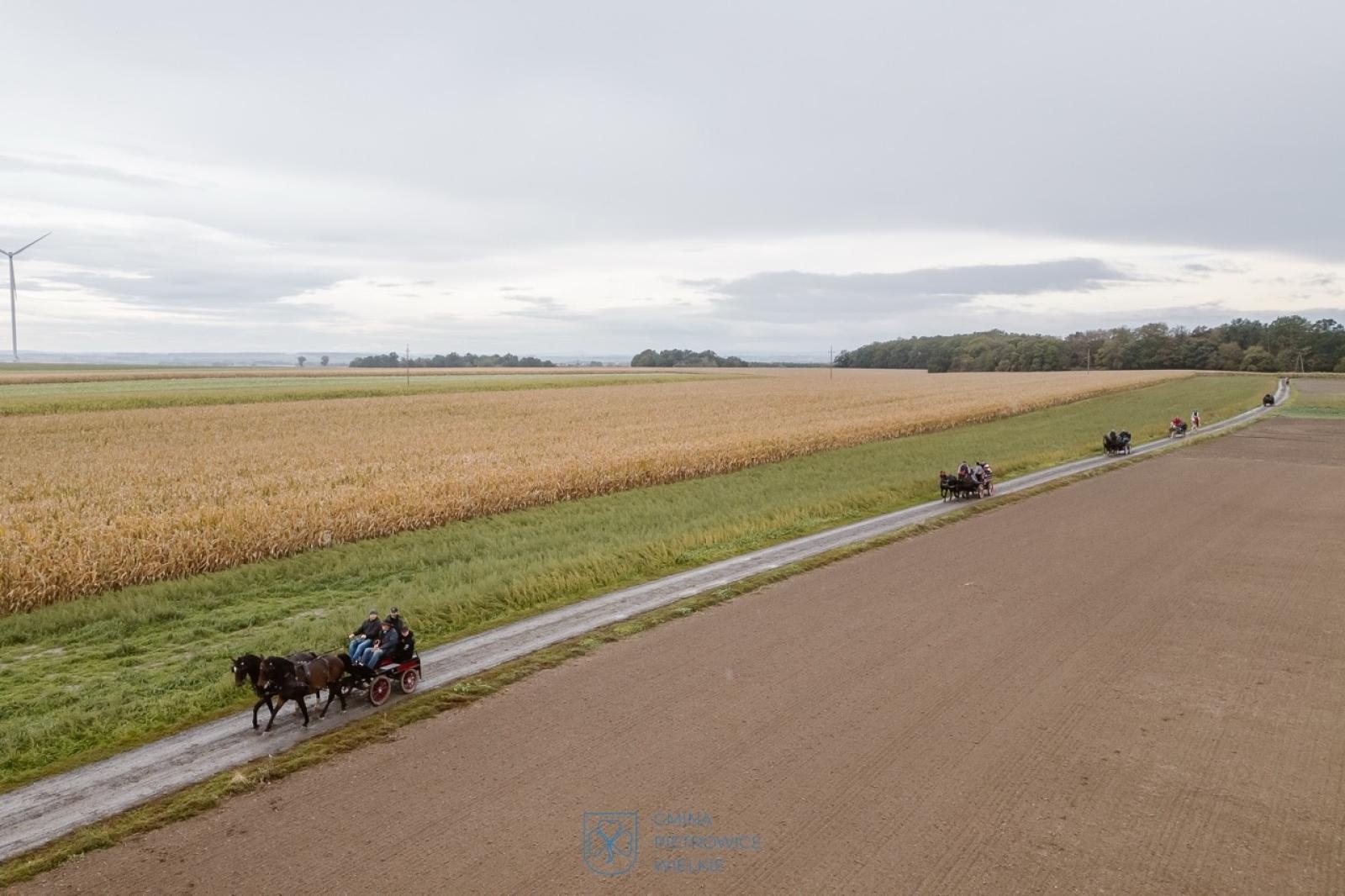 Zdjęcie w galerii na portalu naszraciborz.pl: Natalia Rzerzacz zwyciężczynią pogoni za lisem podczas hubertusa w Żerdzinach [FOTO i WIDEO] wiadomości z regionu