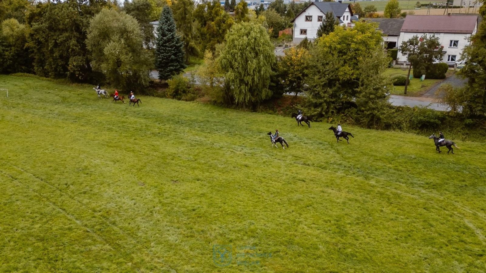 Zdjęcie w galerii na portalu naszraciborz.pl: Natalia Rzerzacz zwyciężczynią pogoni za lisem podczas hubertusa w Żerdzinach [FOTO i WIDEO] wiadomości z regionu