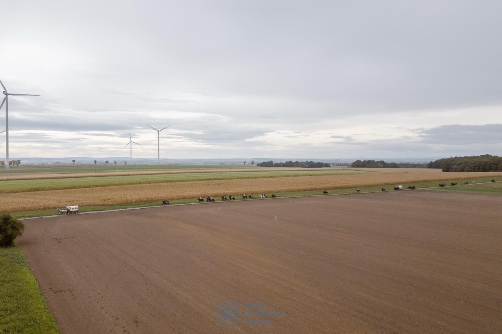 Zdjęcie w galerii na portalu naszraciborz.pl: Natalia Rzerzacz zwyciężczynią pogoni za lisem podczas hubertusa w Żerdzinach [FOTO i WIDEO] wiadomości z regionu