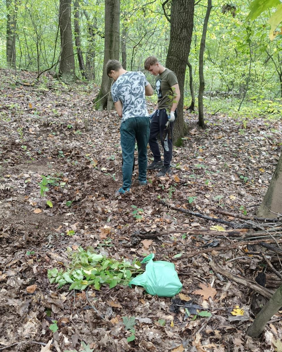 Zdjęcie w galerii na portalu naszraciborz.pl: 200 nowych drzew w Raciborzu. W Arboretum posadzono już 900 drzew w ramach akcji drzewaTOprzyszłość wiadomości z regionu