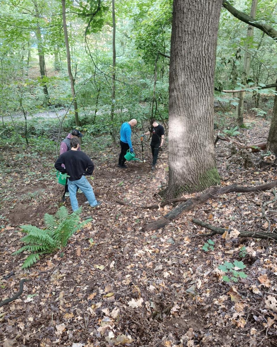 Zdjęcie w galerii na portalu naszraciborz.pl: 200 nowych drzew w Raciborzu. W Arboretum posadzono już 900 drzew w ramach akcji drzewaTOprzyszłość wiadomości z regionu