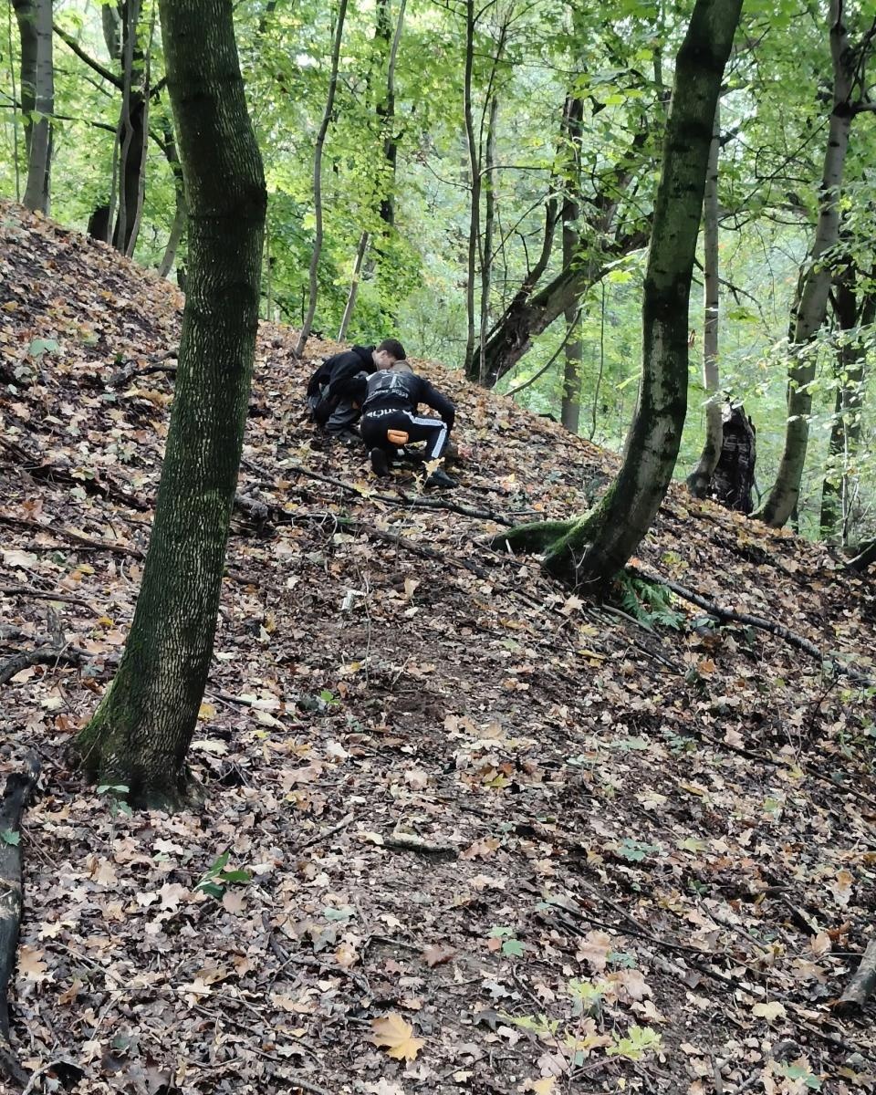 Zdjęcie w galerii na portalu naszraciborz.pl: 200 nowych drzew w Raciborzu. W Arboretum posadzono już 900 drzew w ramach akcji drzewaTOprzyszłość wiadomości z regionu