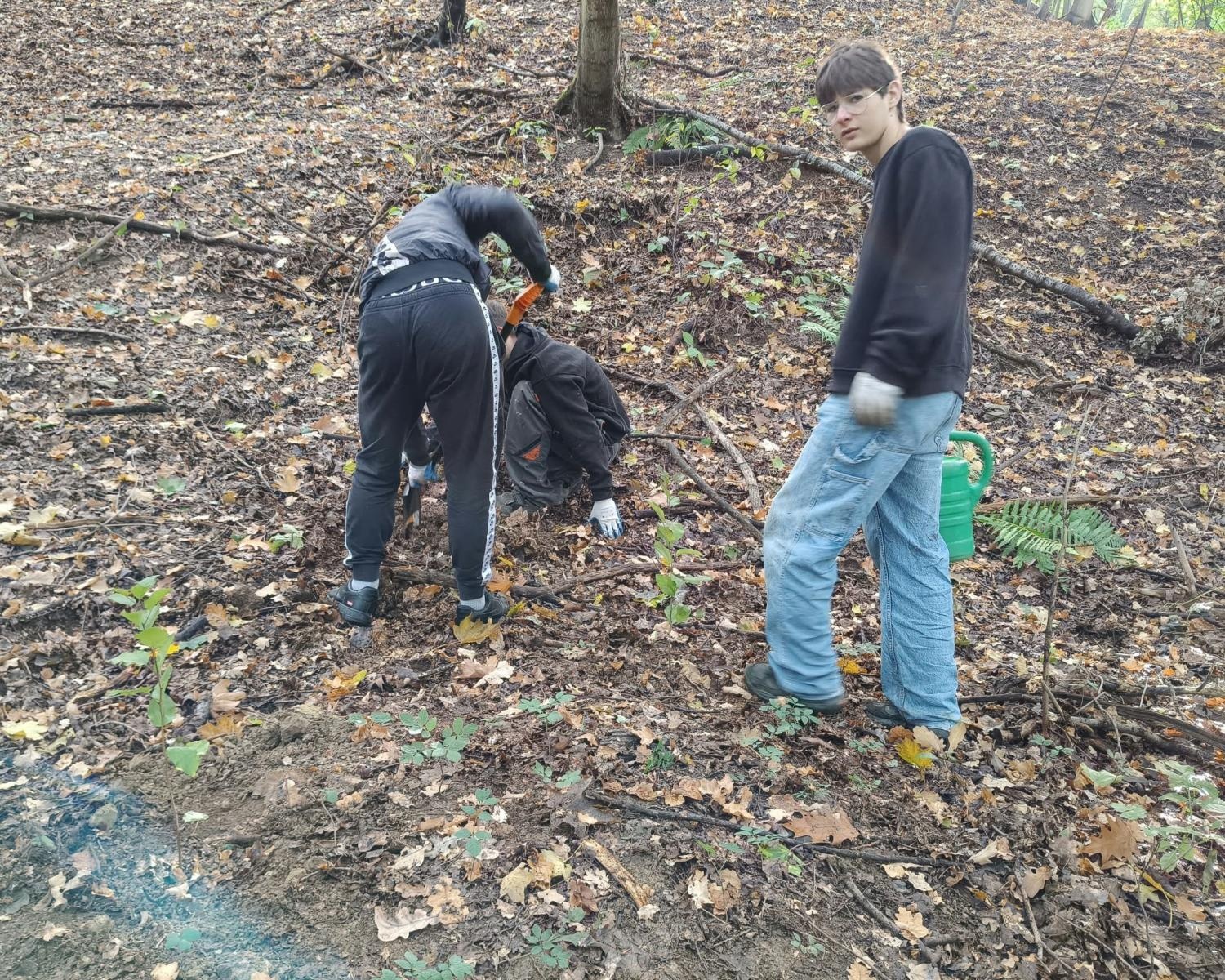 Zdjęcie w galerii na portalu naszraciborz.pl: 200 nowych drzew w Raciborzu. W Arboretum posadzono już 900 drzew w ramach akcji drzewaTOprzyszłość wiadomości z regionu