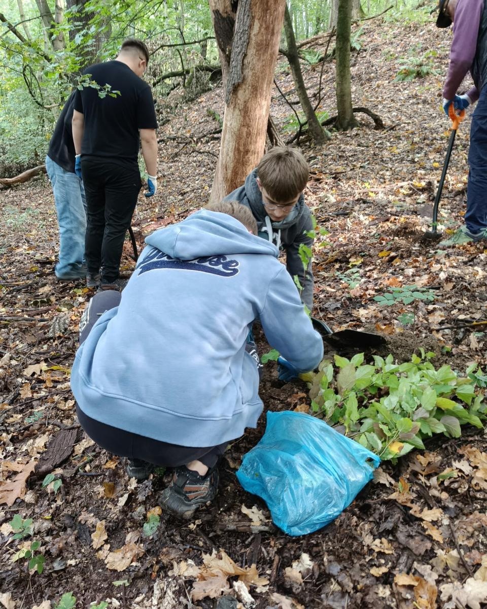 Zdjęcie w galerii na portalu naszraciborz.pl: 200 nowych drzew w Raciborzu. W Arboretum posadzono już 900 drzew w ramach akcji drzewaTOprzyszłość wiadomości z regionu