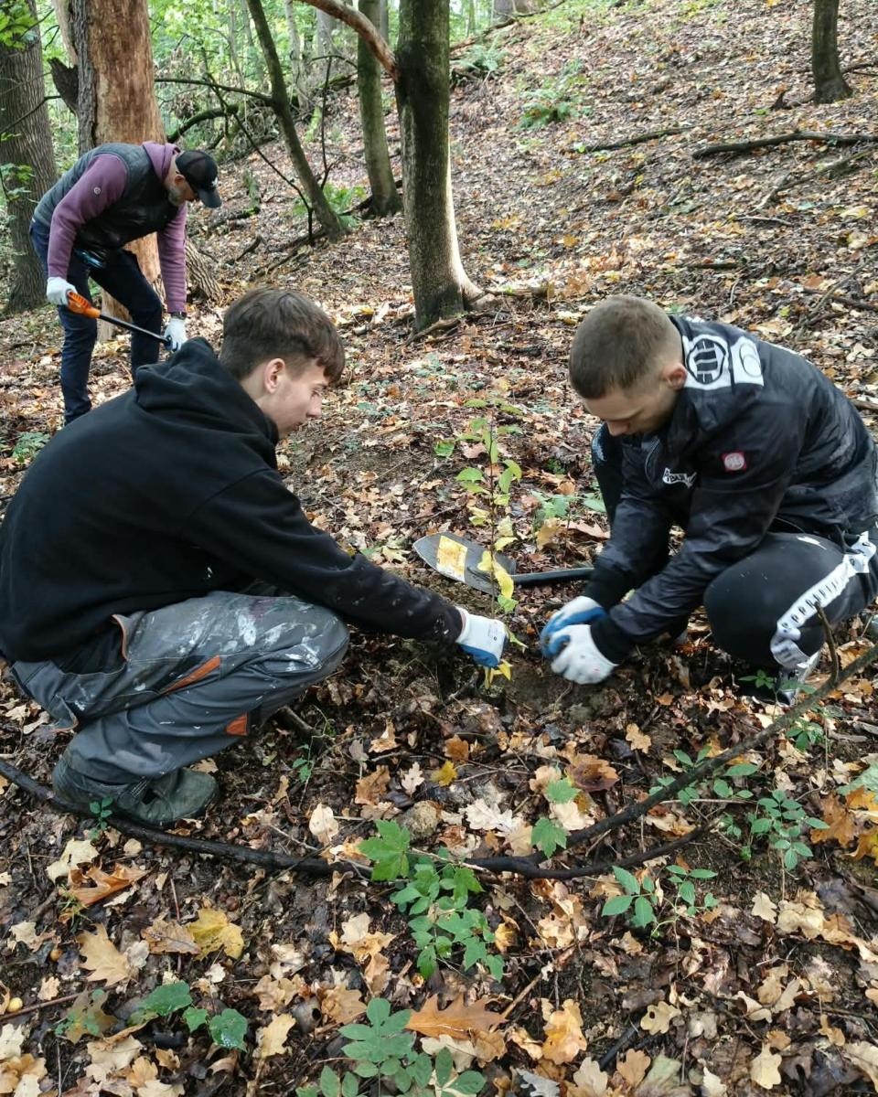 Zdjęcie w galerii na portalu naszraciborz.pl: 200 nowych drzew w Raciborzu. W Arboretum posadzono już 900 drzew w ramach akcji drzewaTOprzyszłość wiadomości z regionu