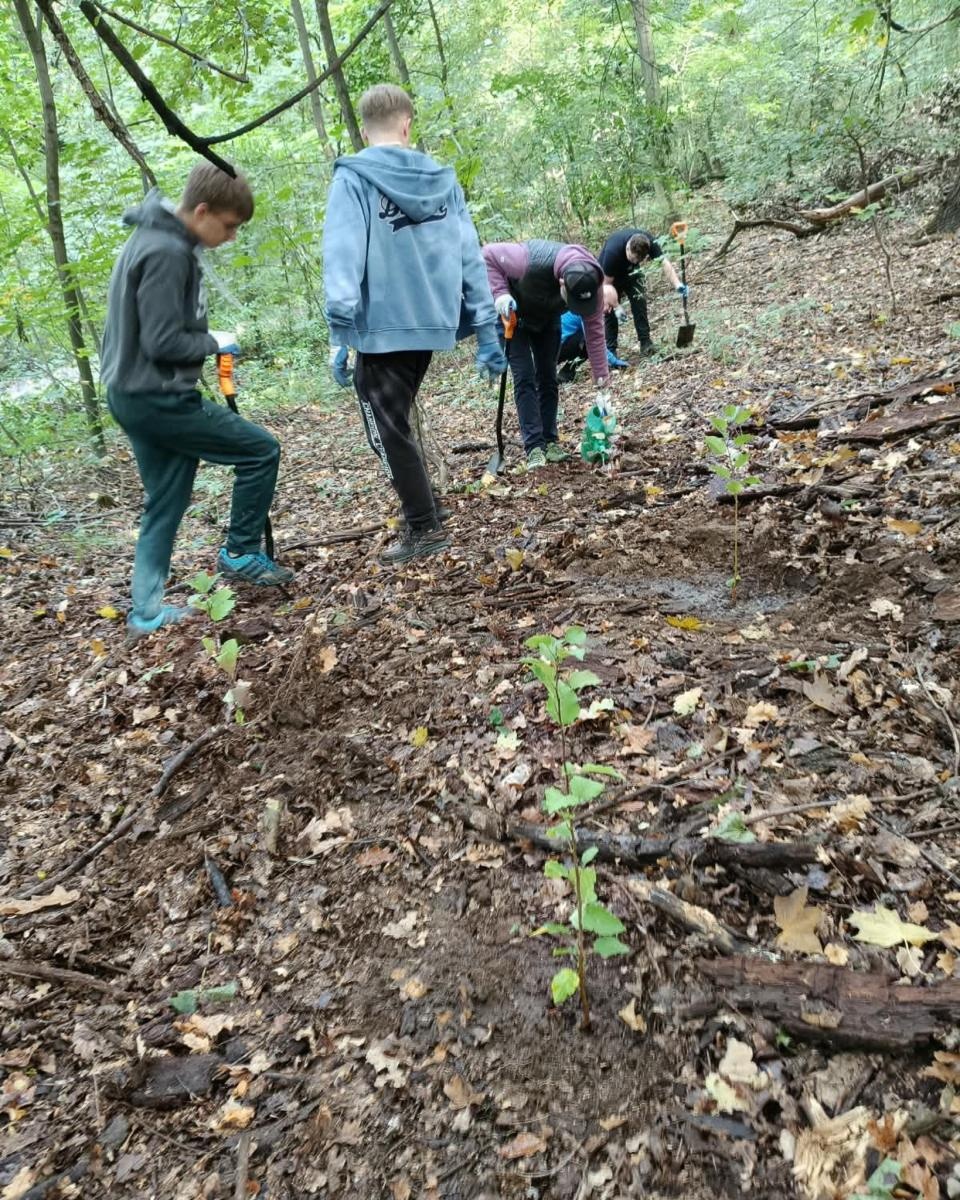 Zdjęcie w galerii na portalu naszraciborz.pl: 200 nowych drzew w Raciborzu. W Arboretum posadzono już 900 drzew w ramach akcji drzewaTOprzyszłość wiadomości z regionu