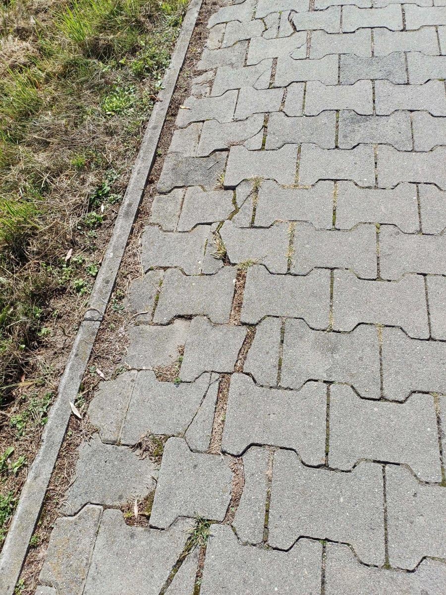 Zdjęcie w galerii na portalu naszraciborz.pl: Zdewastowana ścieżka rowerowa w Raciborzu – kto zapłaci za naprawę? Czytelnik pyta, ratusz odpowiada wiadomości z regionu