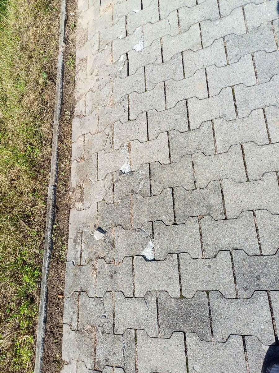 Zdjęcie w galerii na portalu naszraciborz.pl: Zdewastowana ścieżka rowerowa w Raciborzu – kto zapłaci za naprawę? Czytelnik pyta, ratusz odpowiada wiadomości z regionu
