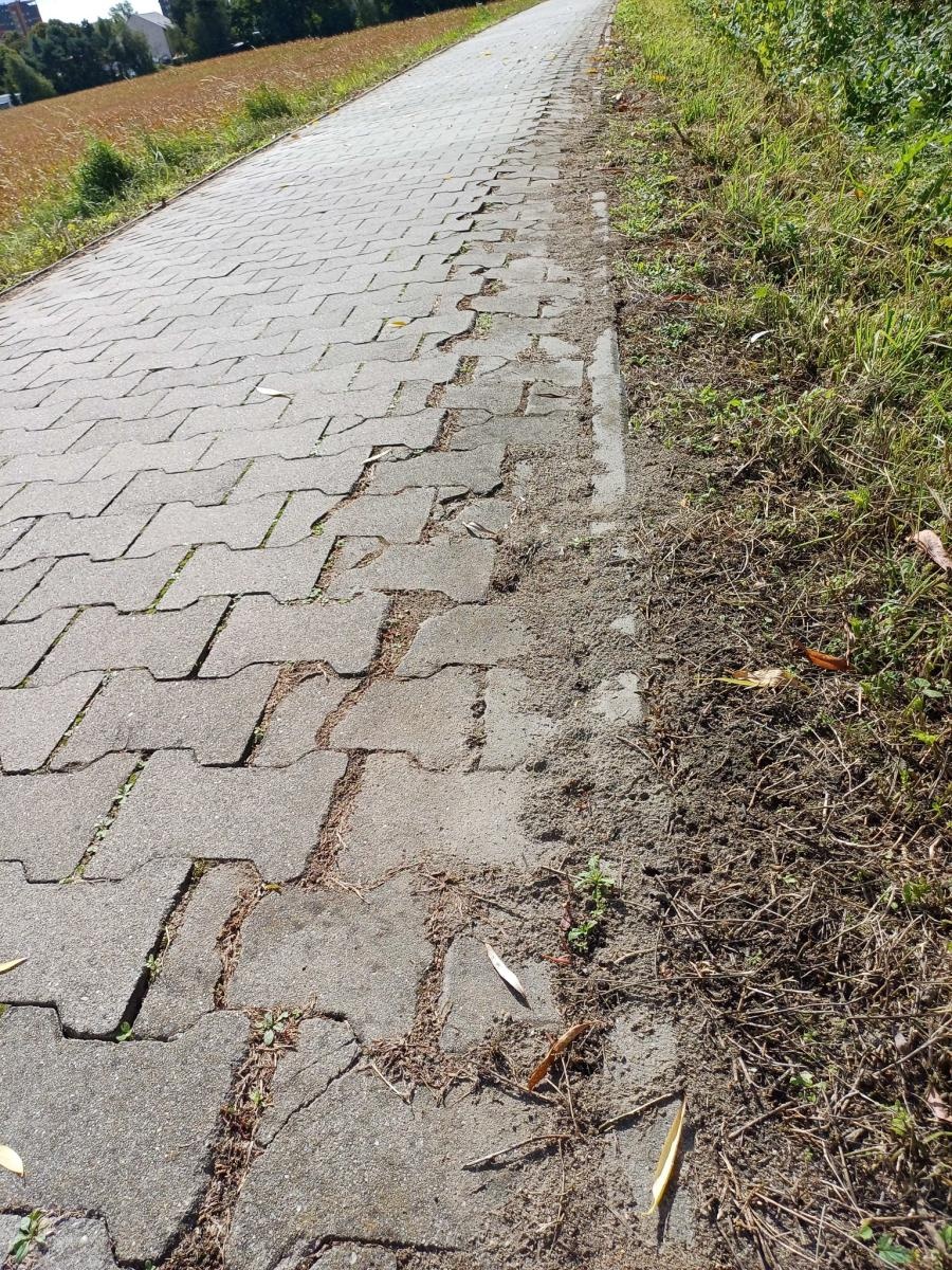 Zdjęcie w galerii na portalu naszraciborz.pl: Zdewastowana ścieżka rowerowa w Raciborzu – kto zapłaci za naprawę? Czytelnik pyta, ratusz odpowiada wiadomości z regionu