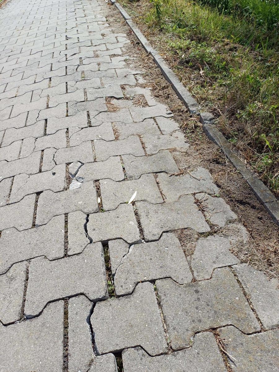 Zdjęcie w galerii na portalu naszraciborz.pl: Zdewastowana ścieżka rowerowa w Raciborzu – kto zapłaci za naprawę? Czytelnik pyta, ratusz odpowiada wiadomości z regionu