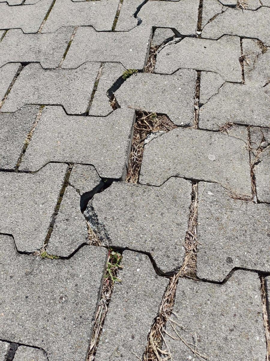 Zdjęcie w galerii na portalu naszraciborz.pl: Zdewastowana ścieżka rowerowa w Raciborzu – kto zapłaci za naprawę? Czytelnik pyta, ratusz odpowiada wiadomości z regionu