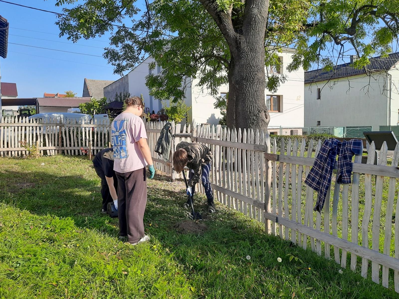 Zdjęcie w galerii na portalu naszraciborz.pl: Nowa zieleń wokół zabytkowego spichlerza w Sudole. Uczniowie zadbali o jego otoczenie wiadomości z regionu