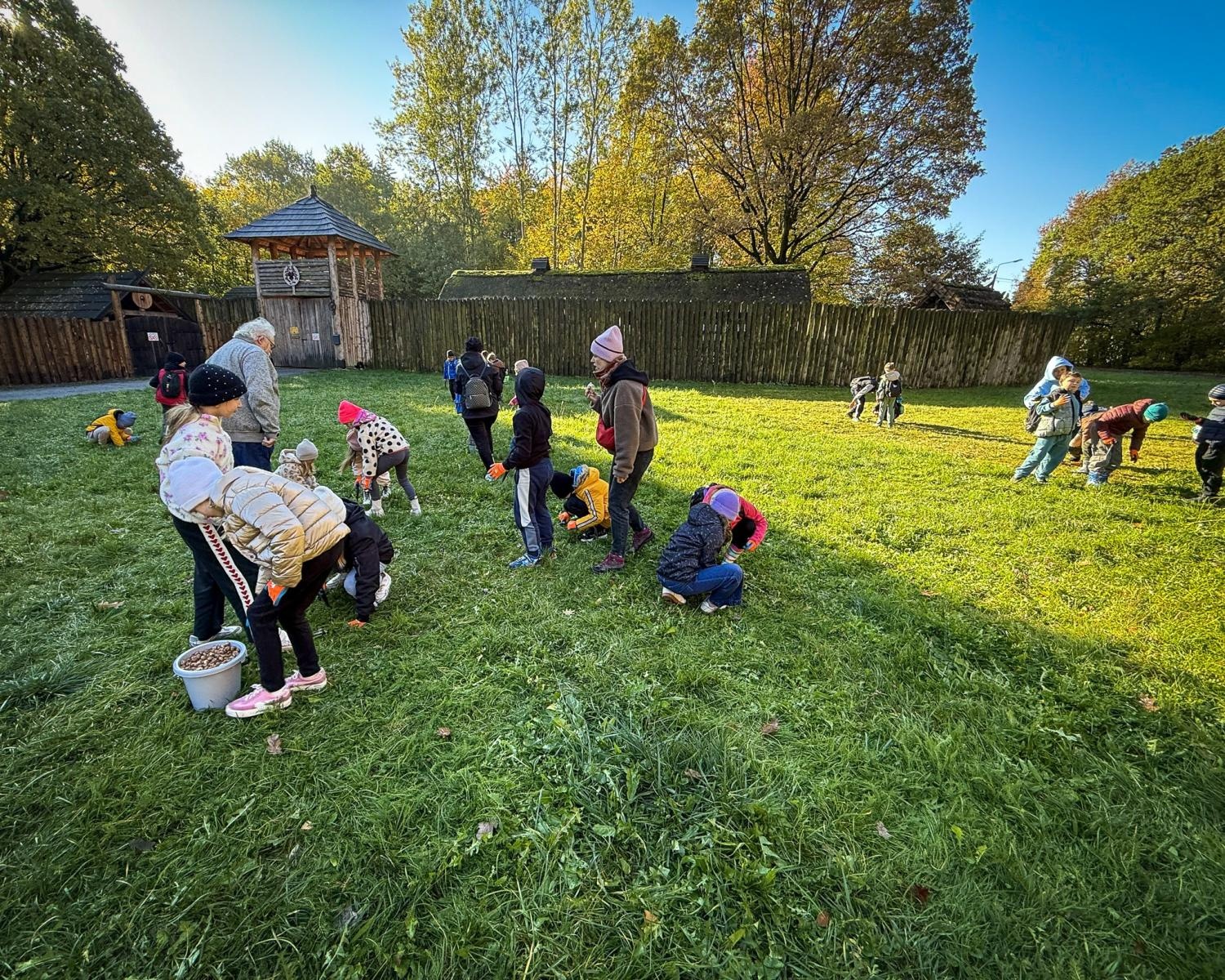 Zdjęcie w galerii na portalu naszraciborz.pl: 5000 krokusów wyrośnie na wiosnę w Arboretum Bramy Morawskiej w Raciborzu wiadomości z regionu