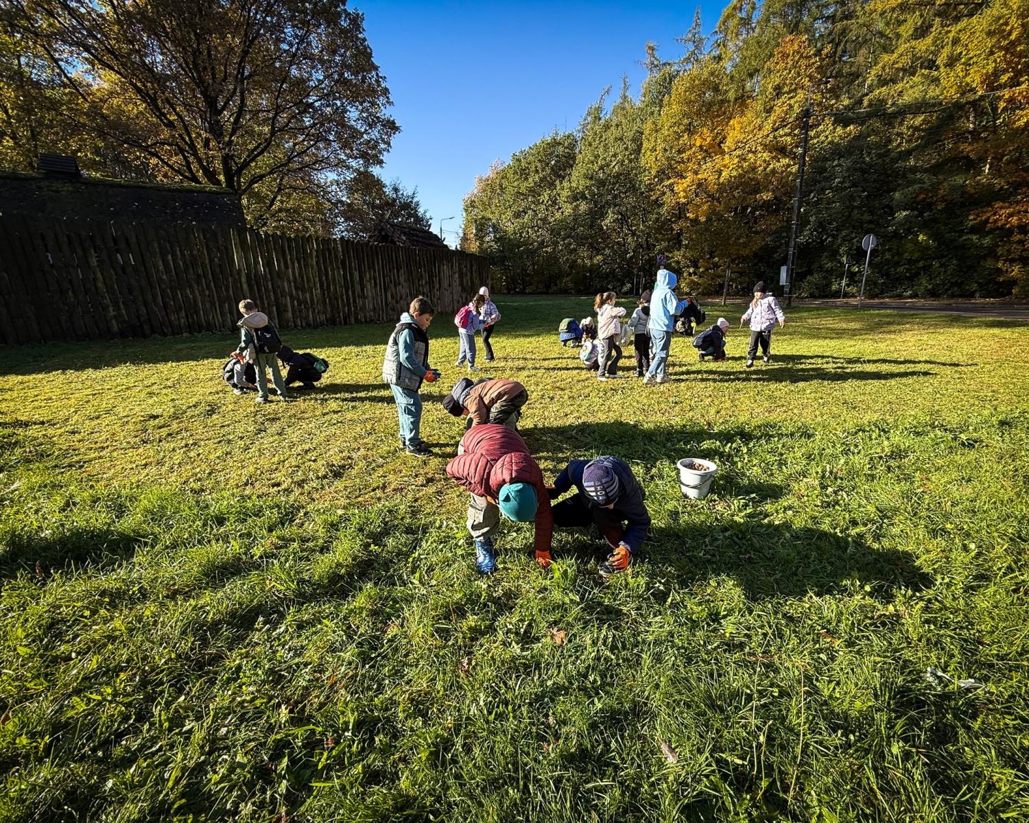 Zdjęcie w galerii na portalu naszraciborz.pl: 5000 krokusów wyrośnie na wiosnę w Arboretum Bramy Morawskiej w Raciborzu wiadomości z regionu