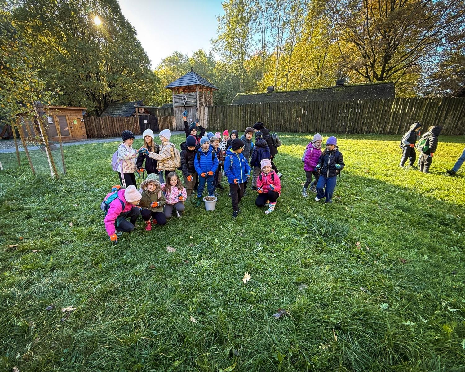Zdjęcie w galerii na portalu naszraciborz.pl: 5000 krokusów wyrośnie na wiosnę w Arboretum Bramy Morawskiej w Raciborzu wiadomości z regionu