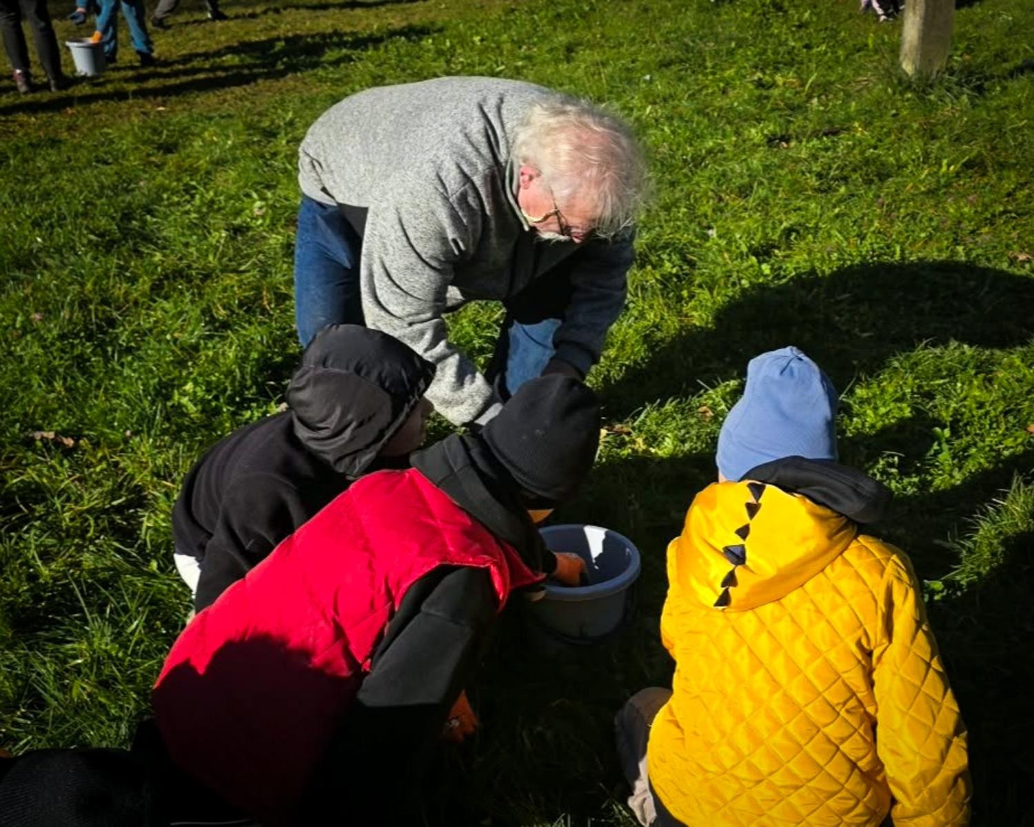 Zdjęcie w galerii na portalu naszraciborz.pl: 5000 krokusów wyrośnie na wiosnę w Arboretum Bramy Morawskiej w Raciborzu wiadomości z regionu