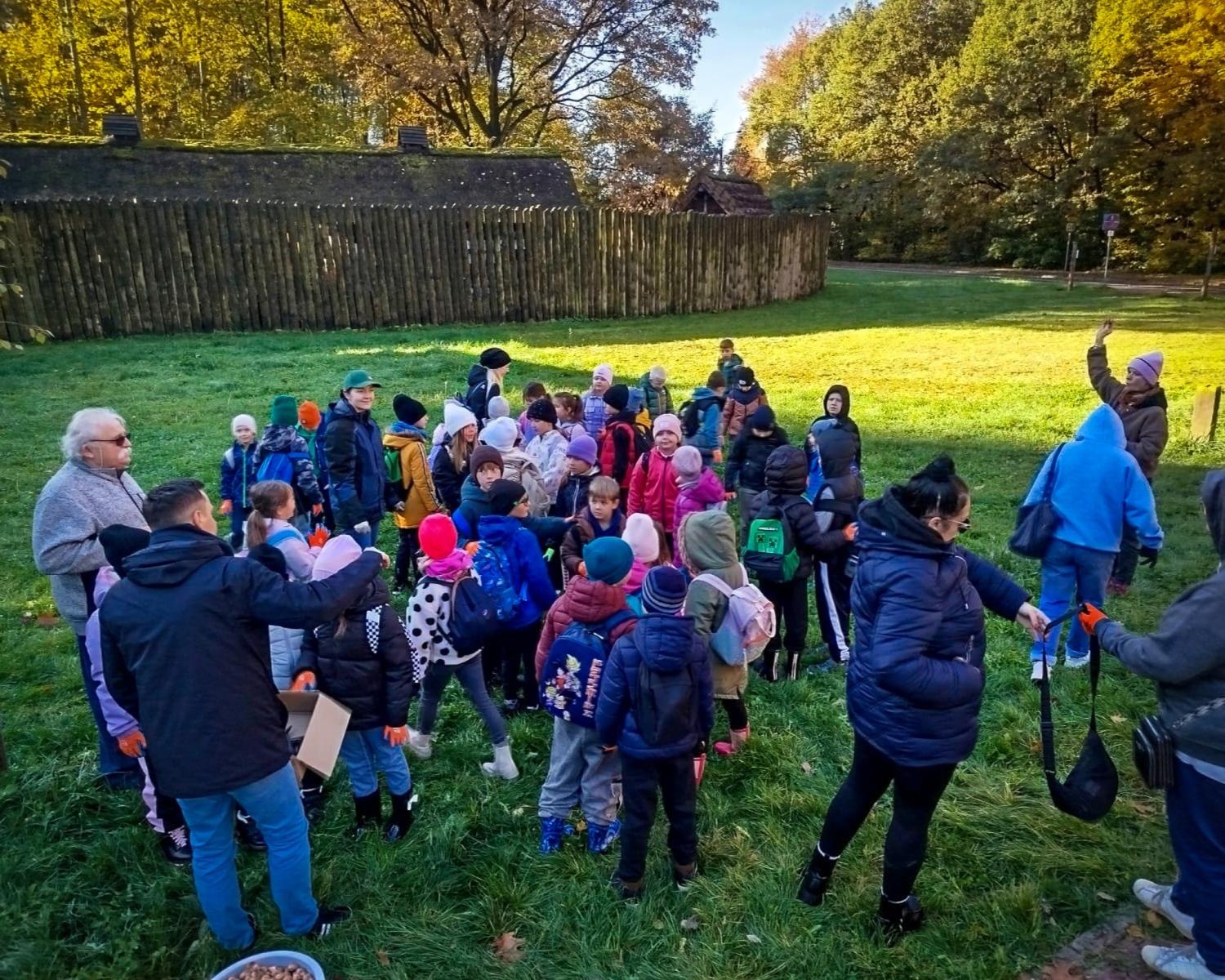 Zdjęcie w galerii na portalu naszraciborz.pl: 5000 krokusów wyrośnie na wiosnę w Arboretum Bramy Morawskiej w Raciborzu wiadomości z regionu