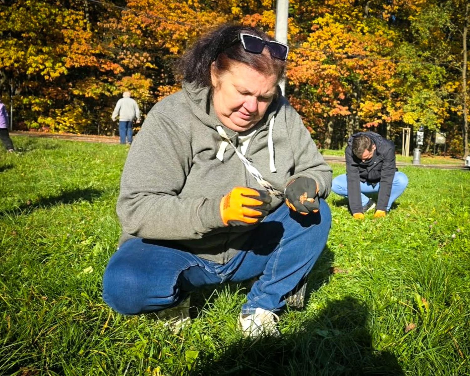 Zdjęcie w galerii na portalu naszraciborz.pl: 5000 krokusów wyrośnie na wiosnę w Arboretum Bramy Morawskiej w Raciborzu wiadomości z regionu
