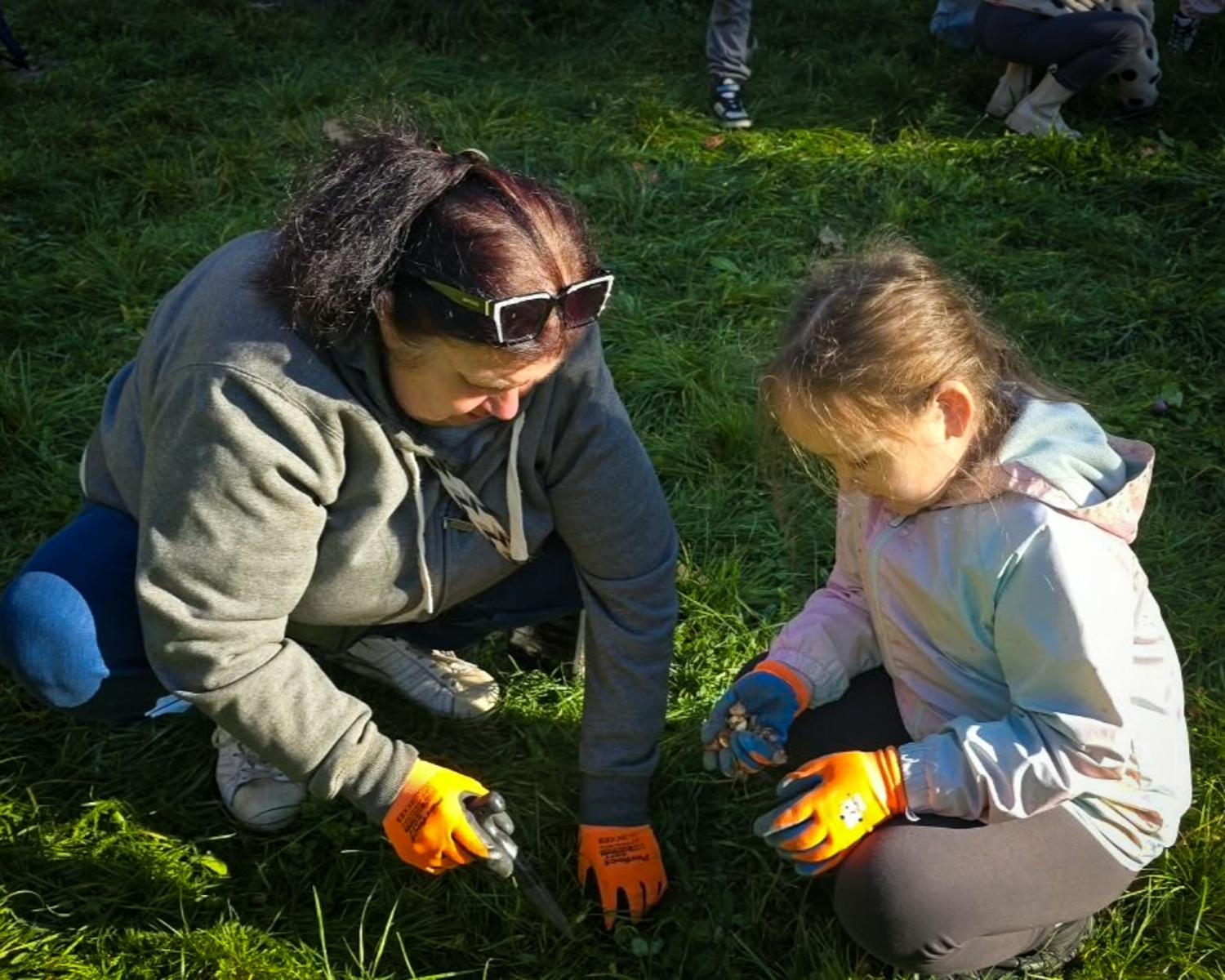 Zdjęcie w galerii na portalu naszraciborz.pl: 5000 krokusów wyrośnie na wiosnę w Arboretum Bramy Morawskiej w Raciborzu wiadomości z regionu