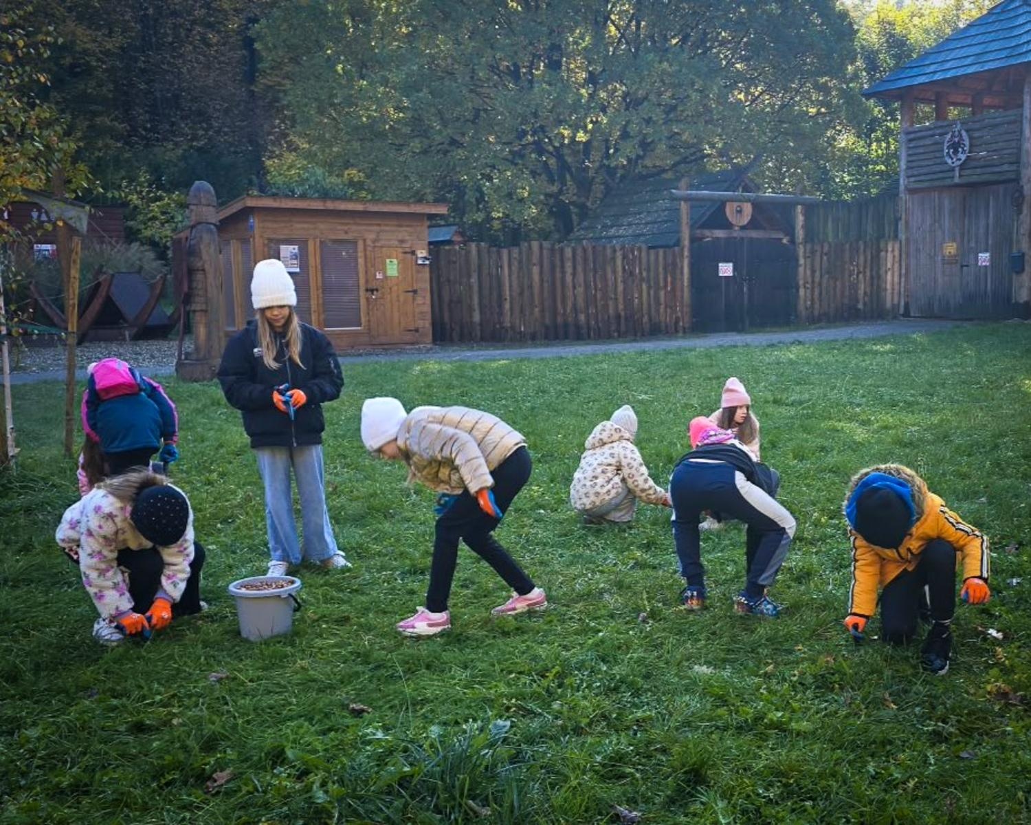 Zdjęcie w galerii na portalu naszraciborz.pl: 5000 krokusów wyrośnie na wiosnę w Arboretum Bramy Morawskiej w Raciborzu wiadomości z regionu