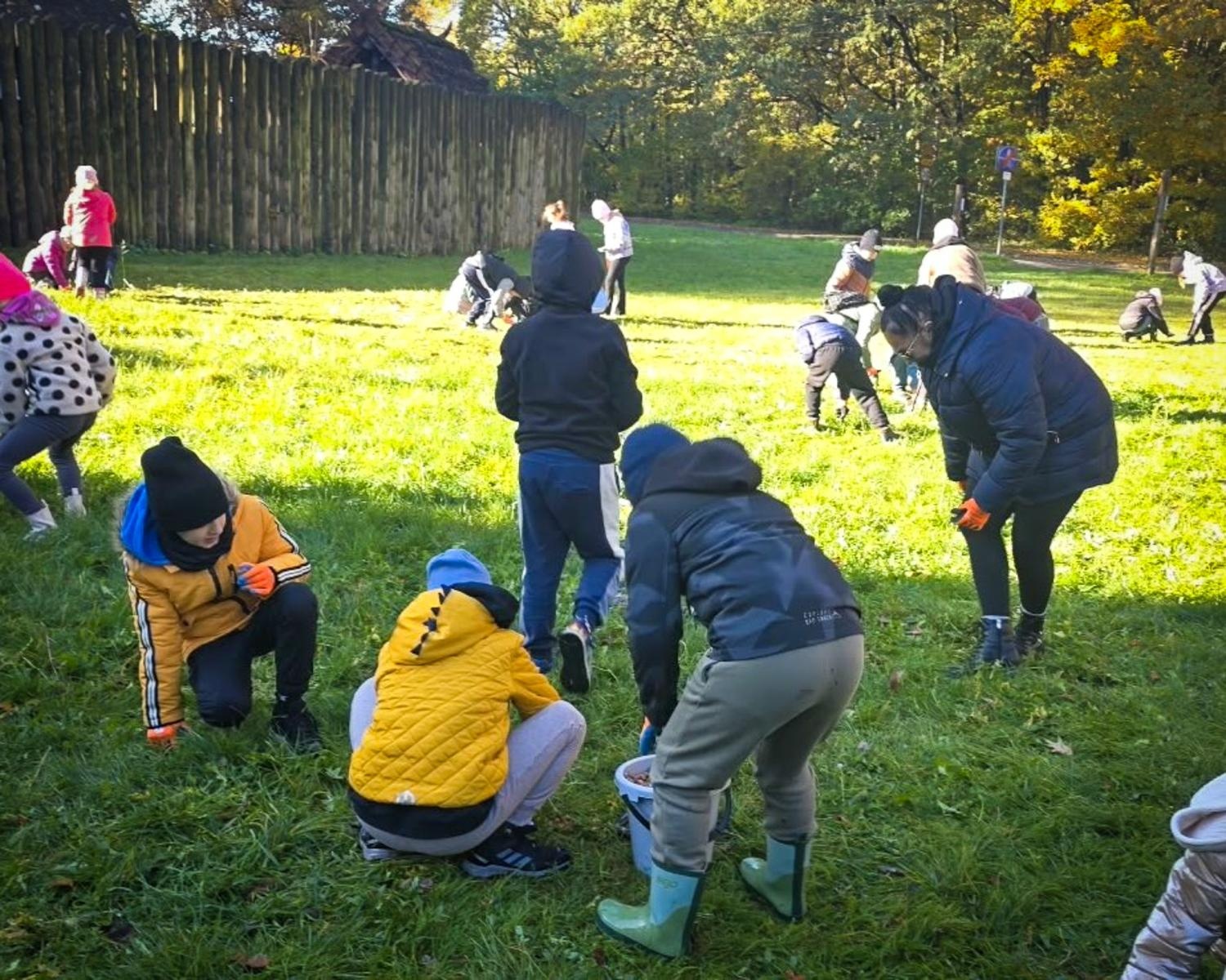 Zdjęcie w galerii na portalu naszraciborz.pl: 5000 krokusów wyrośnie na wiosnę w Arboretum Bramy Morawskiej w Raciborzu wiadomości z regionu