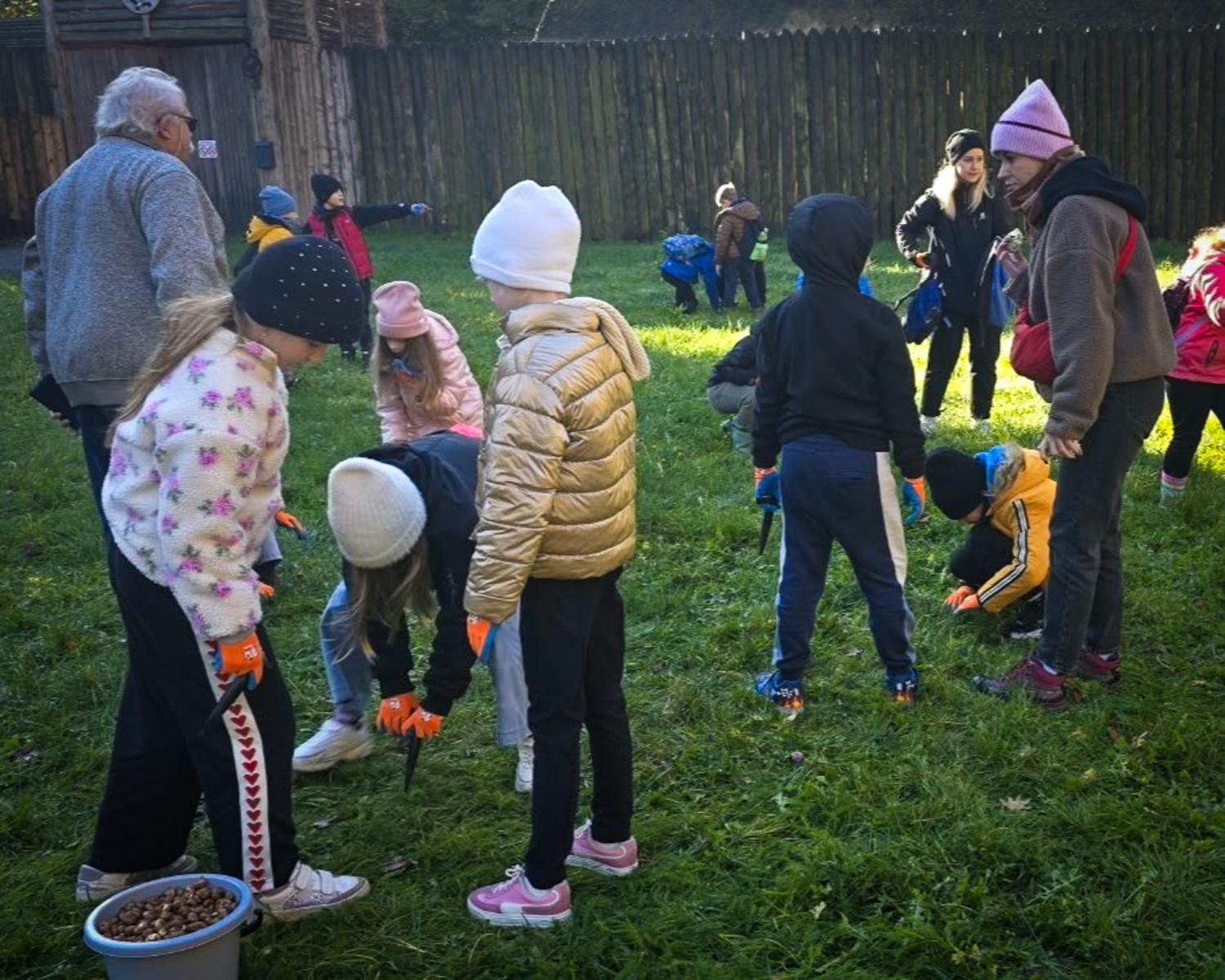 Zdjęcie w galerii na portalu naszraciborz.pl: 5000 krokusów wyrośnie na wiosnę w Arboretum Bramy Morawskiej w Raciborzu wiadomości z regionu