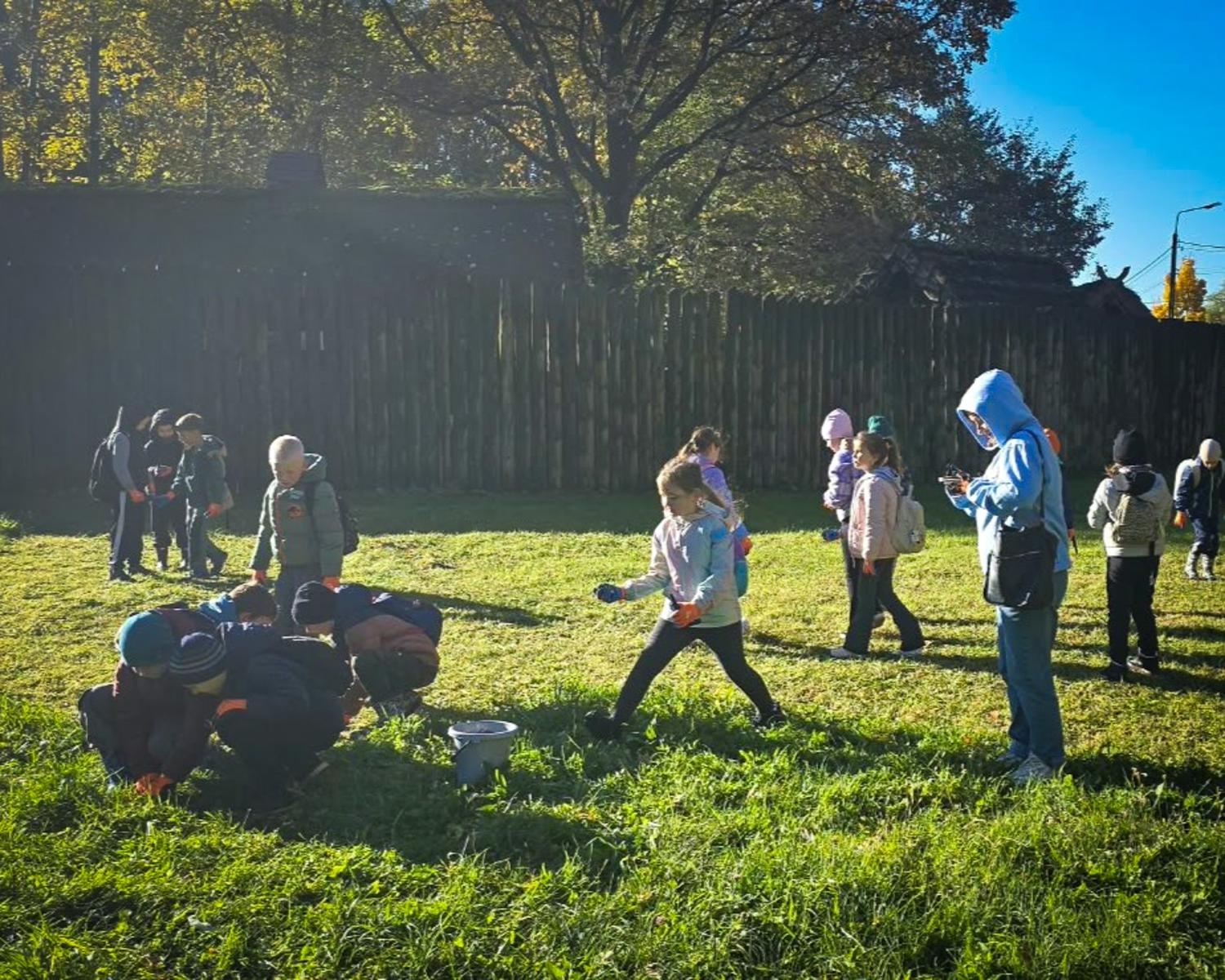 Zdjęcie w galerii na portalu naszraciborz.pl: 5000 krokusów wyrośnie na wiosnę w Arboretum Bramy Morawskiej w Raciborzu wiadomości z regionu