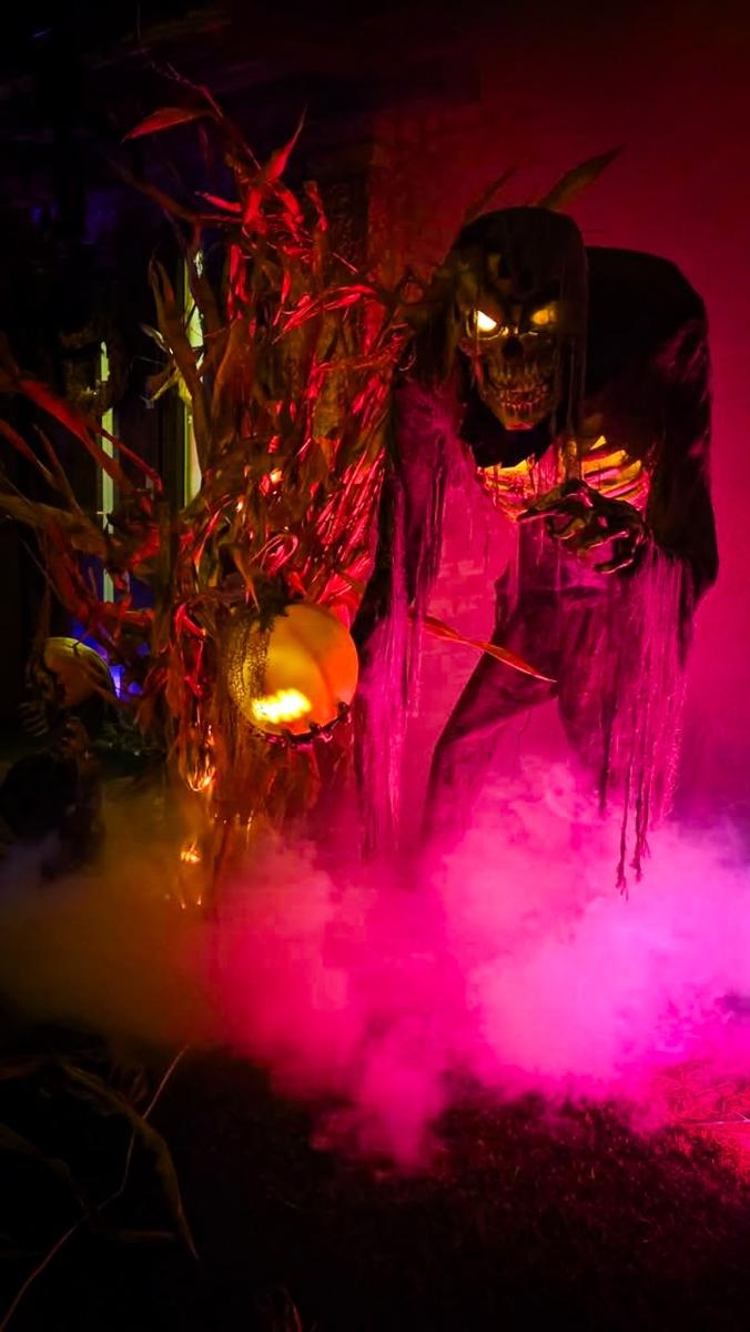 Zdjęcie w galerii na portalu naszraciborz.pl: Straszny dom w Zawadzie Książęcej poleca się na Halloween. Klimatyczna atrakcja pod Raciborzem [FOTO i WIDEO] wiadomości z regionu