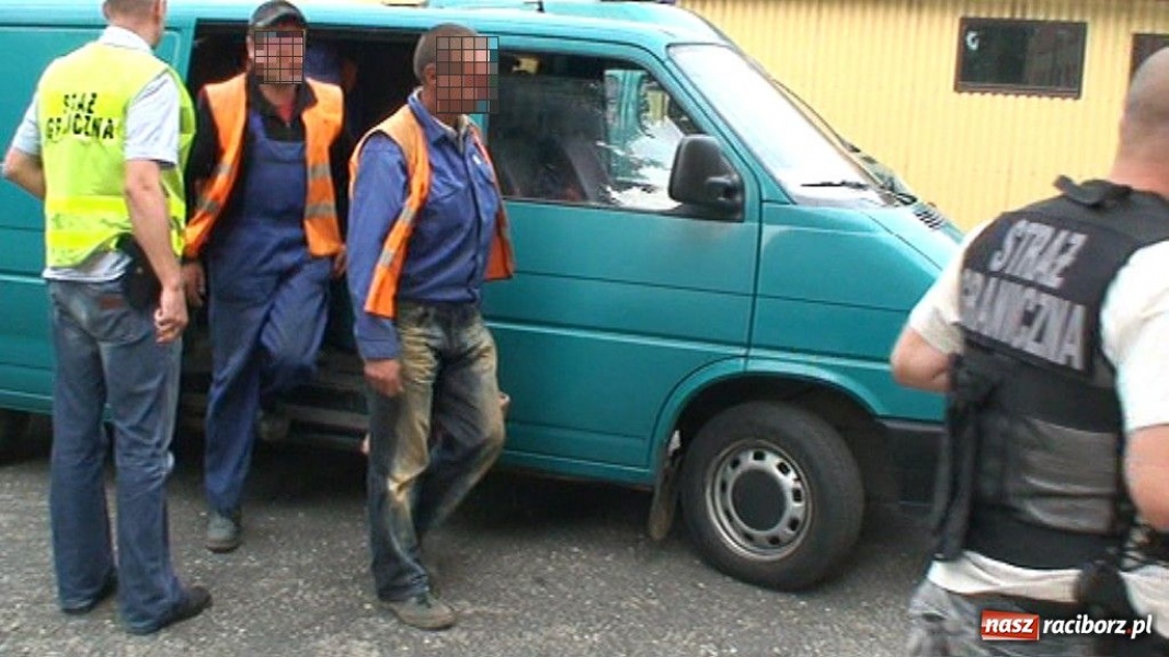 Zdjęcie w galerii na portalu naszraciborz.pl: Nielegalnie zatrudniali obcokrajowców wiadomości z regionu