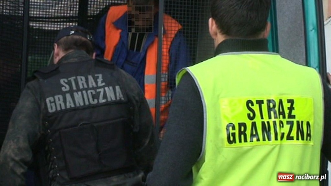 Zdjęcie w galerii na portalu naszraciborz.pl: Nielegalnie zatrudniali obcokrajowców wiadomości z regionu