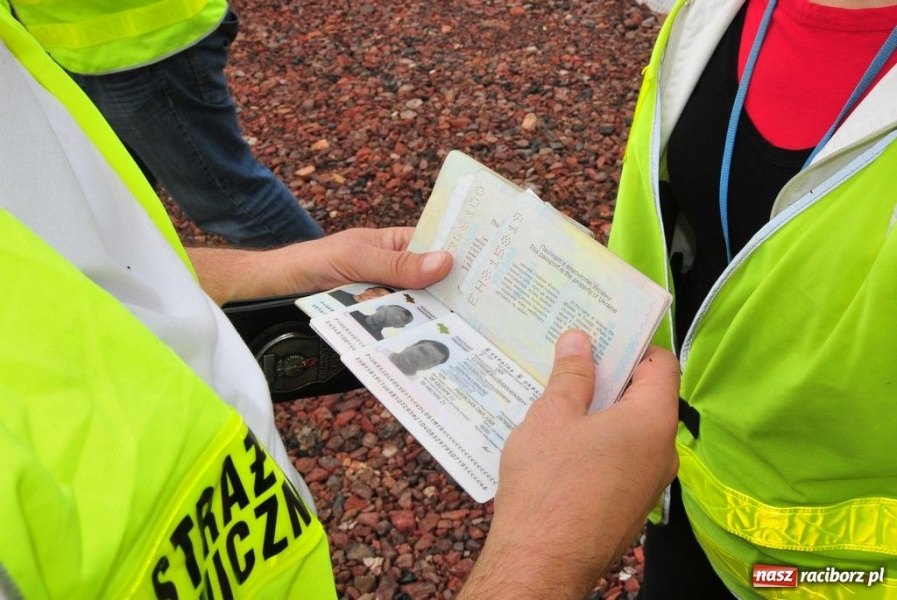 Zdjęcie w galerii na portalu naszraciborz.pl: Nielegalnie zatrudniali obcokrajowców wiadomości z regionu