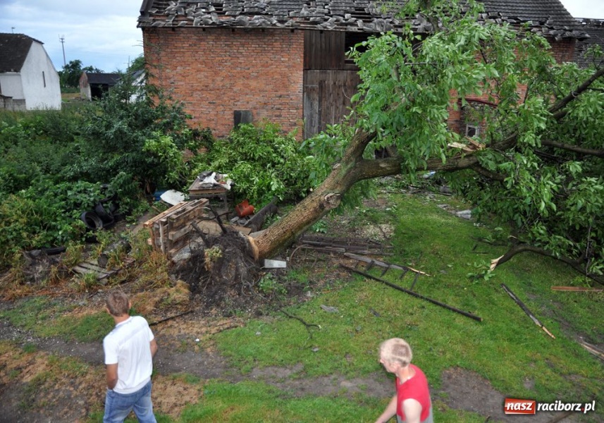 Zdjęcie w galerii na portalu naszraciborz.pl: Poważne ostrzeżenie przed czwartkowymi burzami na Śląsku. Możliwe trąby i grad wiadomości z regionu