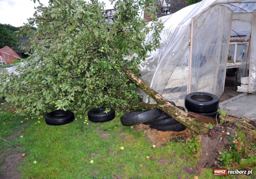 Zdjęcie w galerii na portalu naszraciborz.pl: Poważne ostrzeżenie przed czwartkowymi burzami na Śląsku. Możliwe trąby i grad wiadomości z regionu