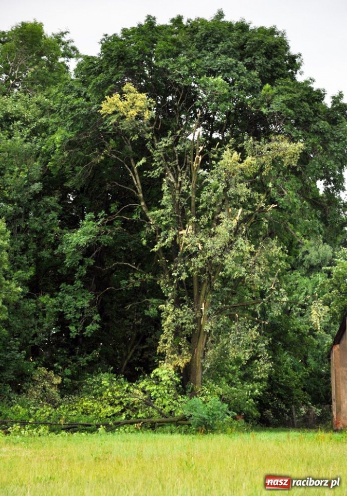 Zdjęcie w galerii na portalu naszraciborz.pl: Poważne ostrzeżenie przed czwartkowymi burzami na Śląsku. Możliwe trąby i grad wiadomości z regionu