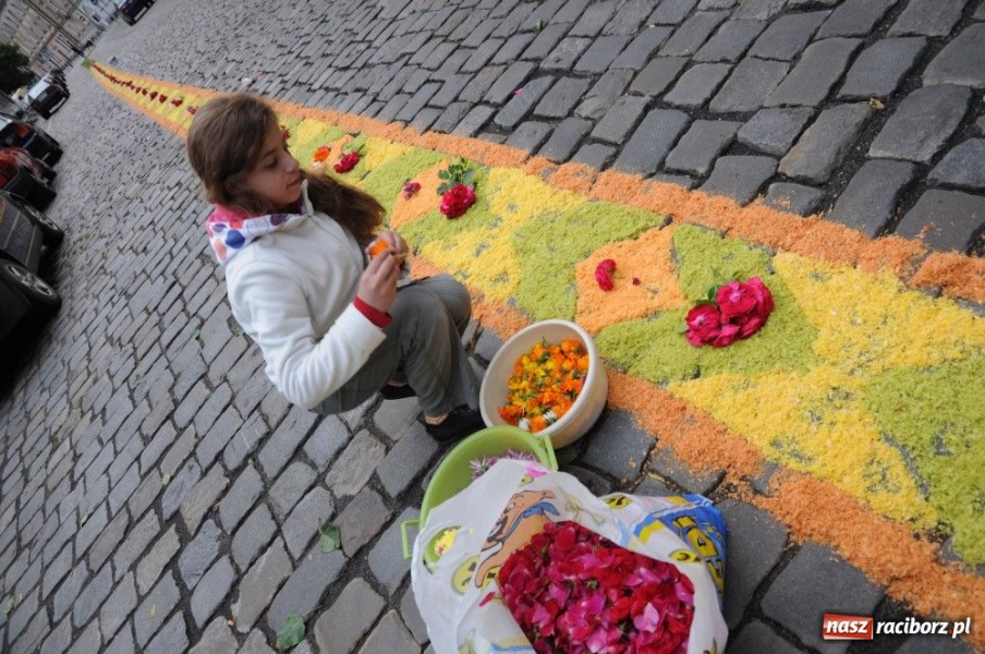 Zdjęcie w galerii na portalu naszraciborz.pl: Od świtu układają dywany z kwiatów wiadomości z regionu