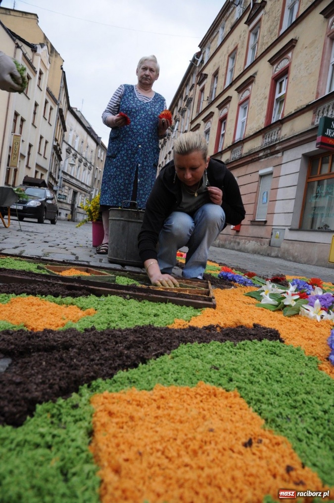 Zdjęcie w galerii na portalu naszraciborz.pl: Od świtu układają dywany z kwiatów wiadomości z regionu