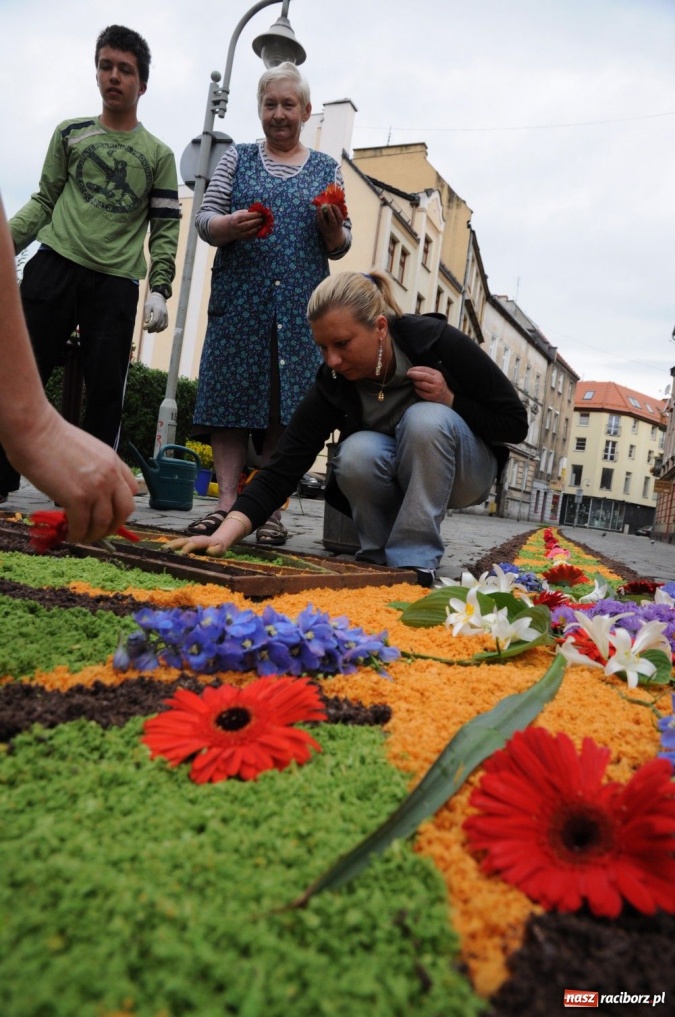 Zdjęcie w galerii na portalu naszraciborz.pl: Od świtu układają dywany z kwiatów wiadomości z regionu