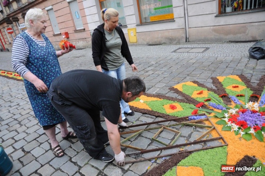 Zdjęcie w galerii na portalu naszraciborz.pl: Od świtu układają dywany z kwiatów wiadomości z regionu