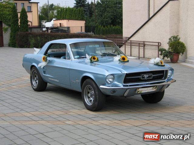 Zdjęcie w galerii na portalu naszraciborz.pl: Do ślubu modnym pojazdem wiadomości z regionu