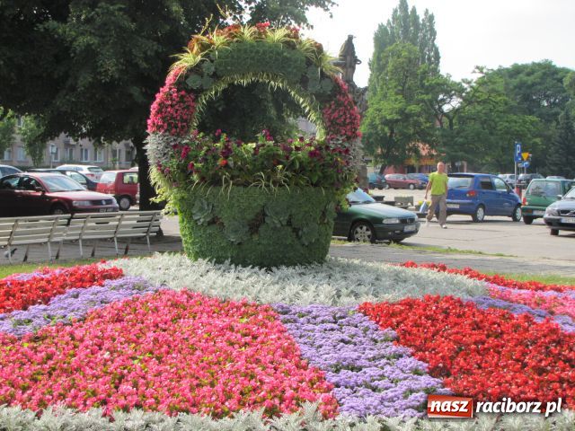 Zdjęcie w galerii na portalu naszraciborz.pl: Racibórz rozkwita... wiadomości z regionu